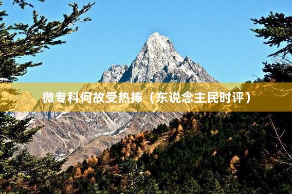 微专科何故受热捧（东说念主民时评）