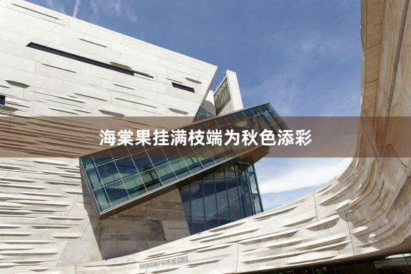 海棠果挂满枝端为秋色添彩