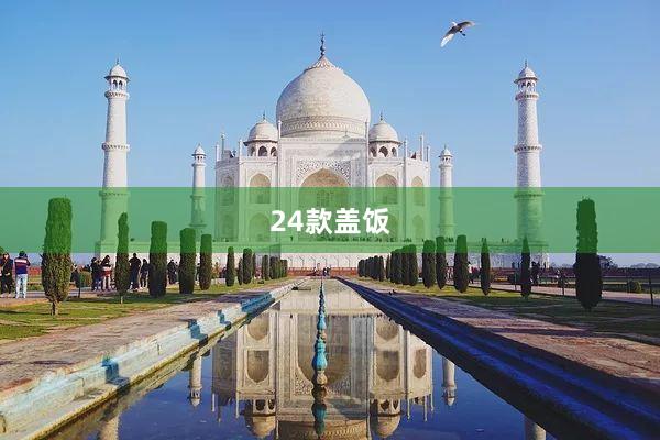24款盖饭