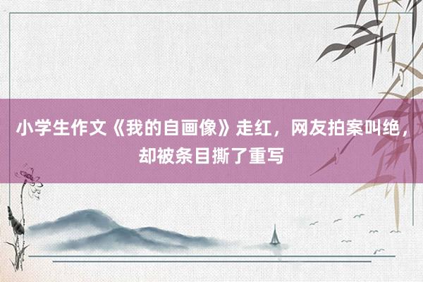 小学生作文《我的自画像》走红，网友拍案叫绝，却被条目撕了重写