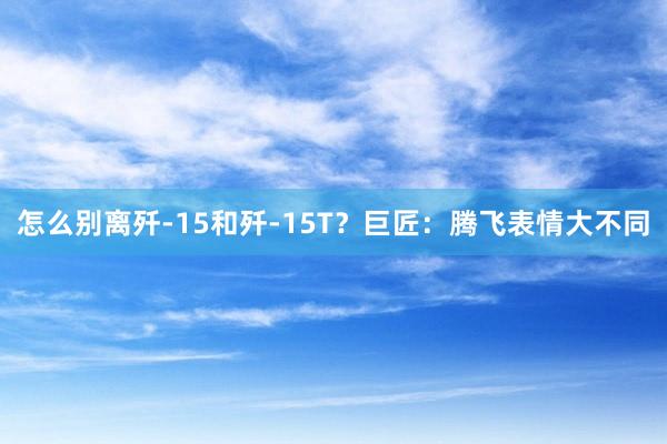 怎么别离歼-15和歼-15T？巨匠：腾飞表情大不同