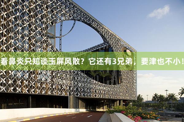 看鼻炎只知谈玉屏风散？它还有3兄弟，要津也不小！