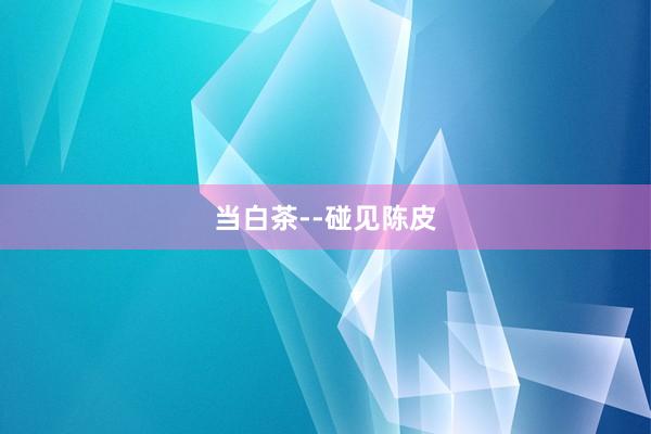 当白茶--碰见陈皮