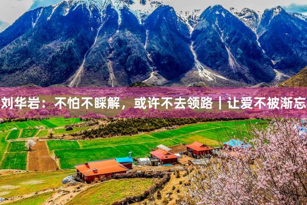 刘华岩：不怕不睬解，或许不去领路｜让爱不被渐忘
