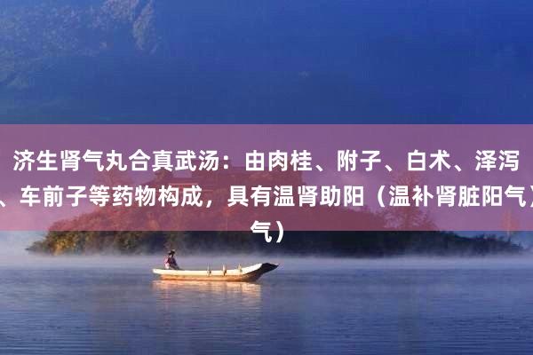 济生肾气丸合真武汤：由肉桂、附子、白术、泽泻、车前子等药物构成，具有温肾助阳（温补肾脏阳气）