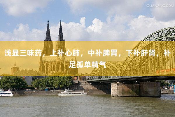 浅显三味药，上补心肺，中补脾胃，下补肝肾，补足孤单精气