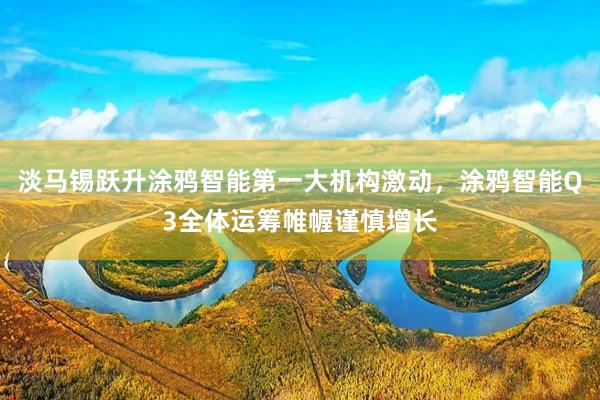 淡马锡跃升涂鸦智能第一大机构激动，涂鸦智能Q3全体运筹帷幄谨慎增长