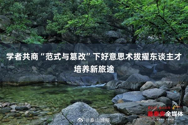 学者共商“范式与篡改”下好意思术拔擢东谈主才培养新旅途