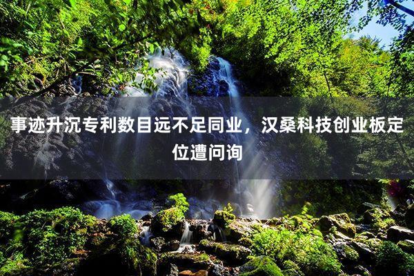 事迹升沉专利数目远不足同业，汉桑科技创业板定位遭问询