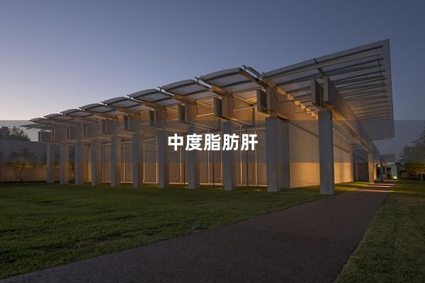 中度脂肪肝