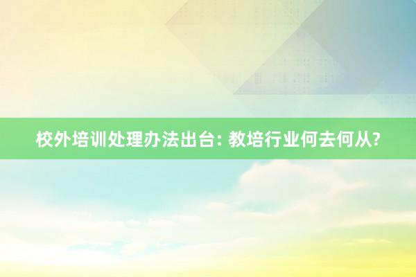 校外培训处理办法出台: 教培行业何去何从?