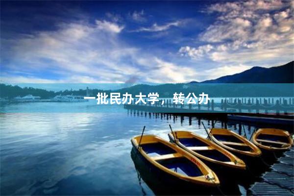 一批民办大学，转公办