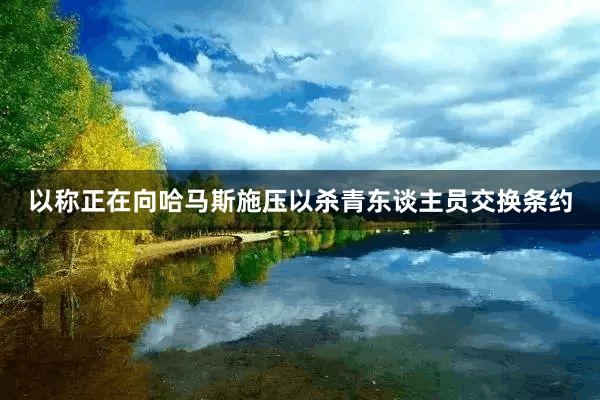 以称正在向哈马斯施压以杀青东谈主员交换条约